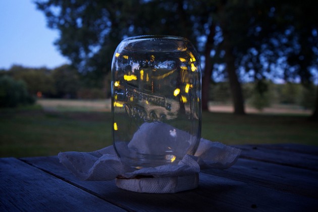 fireflies-in-a-jar-tumblr-630x420