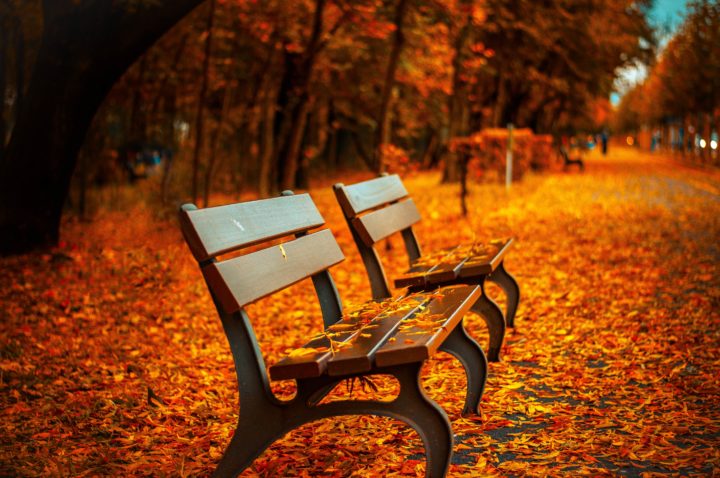 autumn-benches